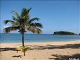 Cerro Gordo Beach - VEGA ALTA